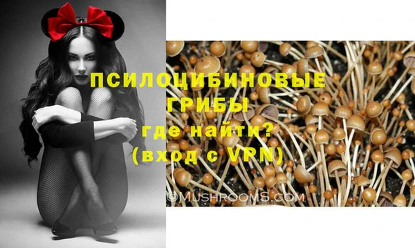 дживик Абаза