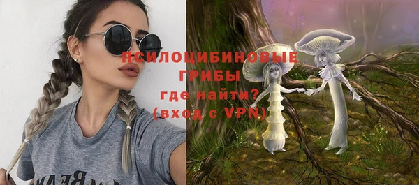 твердый Алзамай